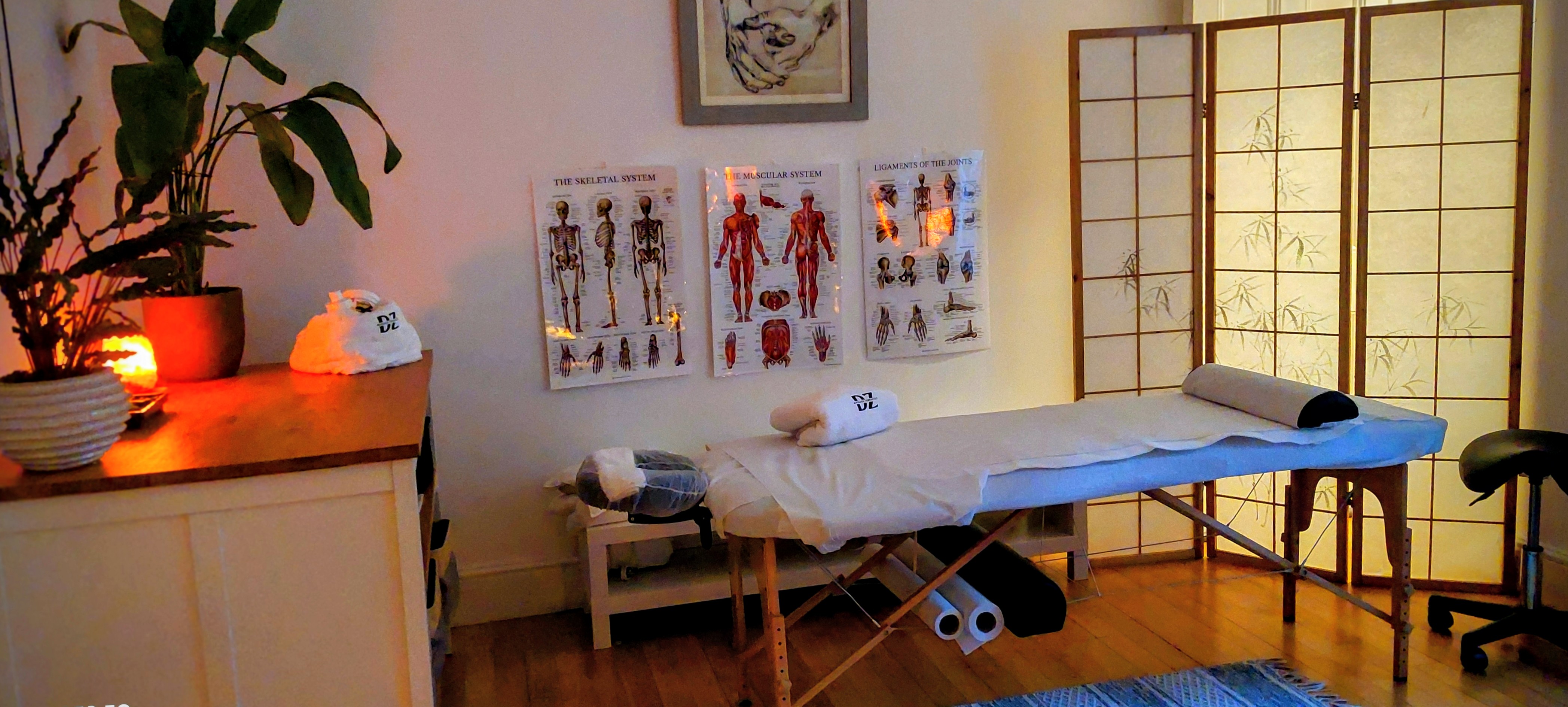 Room containing a massage table with relaxing lighting, calming plants and posters showing muscles and skeleton for massage details